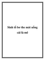 Sinh tố bơ the mát uống cái là mê potx