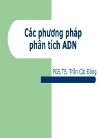 Các phương pháp phân tích ADN pdf