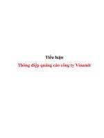 Tiểu luận :Thông điệp quảng cáo công ty Vinamit docx