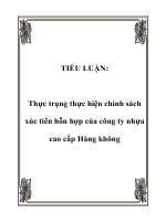 TIỂU LUẬN: Thực trạng thực hiện chính sách xúc tiến hỗn hợp của công ty nhựa cao cấp Hàng không pdf