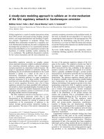 Báo cáo khoa học: A steady-state modeling approach to validate an in vivo mechanism of the GAL regulatory network in Saccharomyces cerevisiae ppt