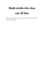 Bánh sôcôla sữa chua cực dễ làm docx