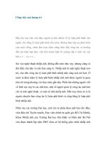 Công việc của lương tri potx