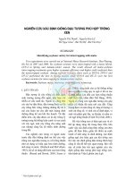 Nghiên cứu xác định giống đậu tương phù hợp trồng xen pdf