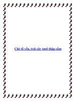 Chè tổ yến, trái cây tươi thập cẩm pot