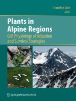 Plants in Alpine Regions Cell Physiology of Adaption and Survival Strategies pptx