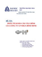 PHÂN TÍCH BÁO CÁO TÀI CHÍNH CỦA CÔNG TY CỔ PHẦN NHỰA BÌNH MINH