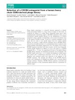 Báo cáo khoa học: Selection of a CXCR4 antagonist from a human heavy chain CDR3-derived phage library doc