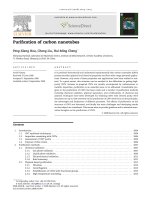 purification of carbon nanotubes