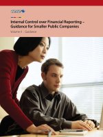 Internal Control over Financial Reporting – Guidance for Smaller Public Companies Volume II : Guidance pptx