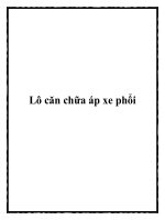 Lô căn chữa áp xe phổi pdf