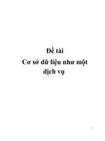 Đề tài Cơ sở dữ liệu như một dịch vụ potx