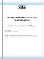 WOMEN-OWNED SMALL BUSINESS (WOSB) PROGRAM: Small Entity Compliance Guide to the WOSB Program pot
