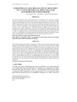 ẢNH HƯỞNG CỦA OXY HÒA TAN LÊN SỬ DỤNG THỨC ĂN VÀ TĂNG TRƯỞNG CỦA TÔM CÀNG XANH (MACROBRACHIUM ROSENBERGII) potx
