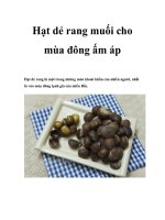 Hạt dẻ rang muối cho mùa đông ấm áp docx