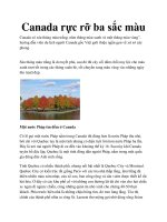 Canada rực rỡ ba sắc màu potx