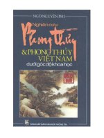 Nghiên cứu phong thủy và phong thủy Việt Nam dưới góc độ khoa học pot