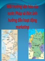 Môi trường văn hóa của nước Pháp và Đức ảnh hưởng đến hoạt động marketing pdf