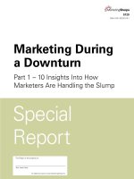 MARKETING DURING A DOWNTURN: INSIGHTS INTO HOW MARKETERS ARE HANDLING THE SLUMP pot