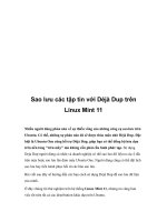 Sao lưu các tập tin với Déjà Dup trên Linux Mint 11 pot