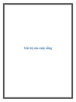 Giá trị của cuộc sống pot