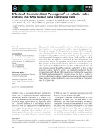 Báo cáo khoa học: Effects of the antioxidant PycnogenolÒ on cellular redox systems in U1285 human lung carcinoma cells docx