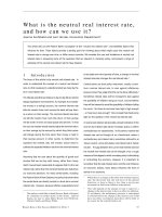 What is the neutral real interest rate, and how can we use it? doc