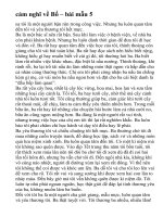 cảm nghĩ về Bố – bài mẫu 5