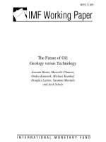 The Future of Oil: Geology versus Technology doc