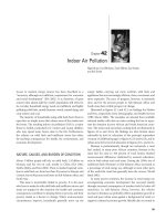 Indoor Air Pollution by Nigel Bruce, Eva Rehfuess, Sumi Mehta, Guy Hutton, and Kirk Smith pptx