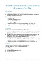 South Carolina Minority Small Business Advocate of the Year pdf