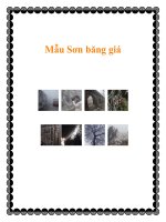 Mẫu Sơn băng giá pot