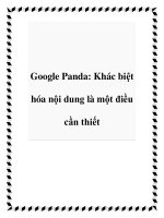 Google Panda: Khác biệt hóa nội dung là một điều cần thiết ppt