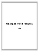 Quảng cáo trên từng cây số docx