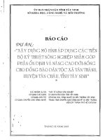 Báo cáo:Xây dựng mô hình áp dụng các tiến bộ kỹ thuật nông nghiệp nhằm góp phần ổn định và nâng cao đời sống cho đồng bào dân tộc xã Tân Thành huyện Tân Châu tỉnh Tây Ninh ppt