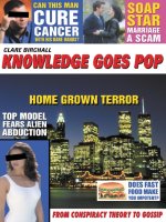 Knowledge Goes Pop pptx