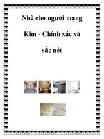 Nhà cho người mạng Kim - Chính xác và sắc nét potx