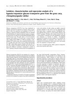 Báo cáo khoa học: Isolation, characterization and expression analysis of a hypoxia-responsive glucose transporter gene from the grass carp, Ctenopharyngodon idellus potx