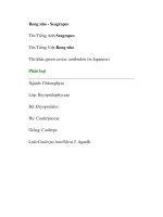 Rong nho - Seagrapes doc