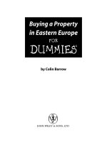 Buying a property in eastern europe for DUMmIES