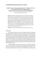 NGHIÊN CỨU XỬ LÝ TỔNG AMMONI NITƠ (TAN) TRONG NƯỚC THẢI NUÔI TÔM CHÂN TRẮNG (Litopenaeus vannamei) Ở CÔNG TY CỔ PHẦN TRƯỜNG SƠN, TỈNH THỪA THIÊN HUẾ pptx