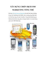 XÂY DỰNG CHIẾN DỊCH SMS MARKETING TỔNG THỂ pdf