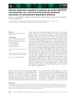 Báo cáo khoa học: Chronic high-dose morphine treatment promotes SH-SY5Y cell apoptosis via c-Jun N-terminal kinase-mediated activation of mitochondria-dependent pathway pdf