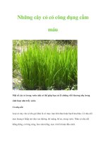 Những cây cỏ có công dụng cầm máu pdf