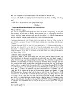 Tố chất cần có để đảm bảo sự khởi nghiệp thành công