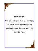 TIỂU LUẬN: Giải pháp nâng cao hiệu quả huy động vốn tại chi nhánh Ngân hàng Nông nghiệp và Phát triển Nông thôn Vĩnh Bảo- Hải Phòng pot