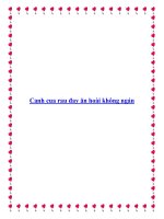 Canh cua rau đay ăn hoài không ngán pdf