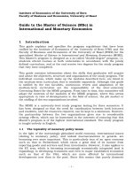 Guide to the Master of Science (MSc) in International and Monetary Economics pptx