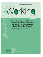 Technology Gap and Efficiency in Cocoa Production in West and Central Africa: Implications for Cocoa Sector Development. ppt