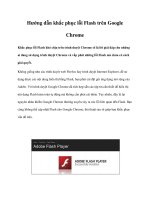 Hướng dẫn khắc phục lỗi Flash trên Google Chrome doc